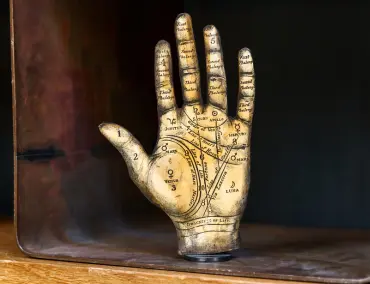Palm Reading
